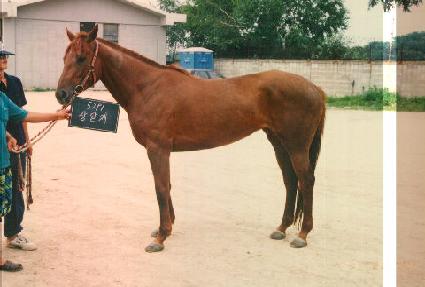 ����� ����