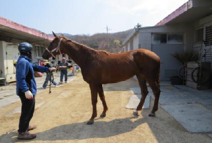 �۷ι����� ����