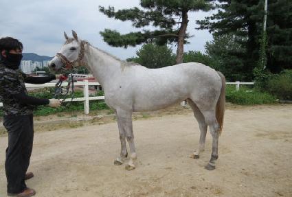 ��Ÿ��õ ����