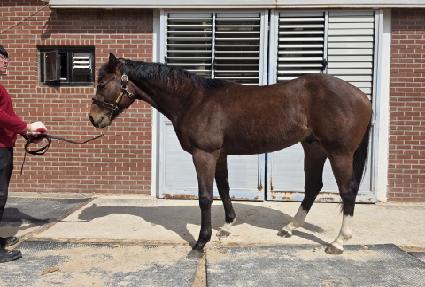 ���彺���� ����