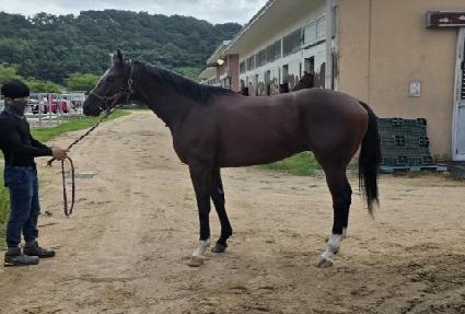 ������Ʈ ����