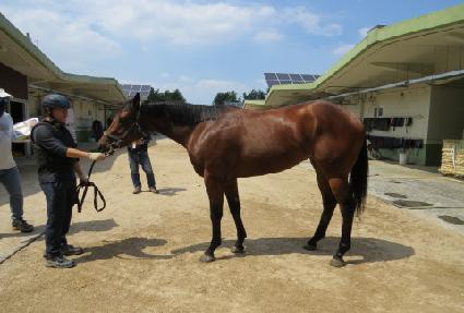 ����ε巡�� ����