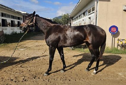 ������Ƽ�ƶ� ����