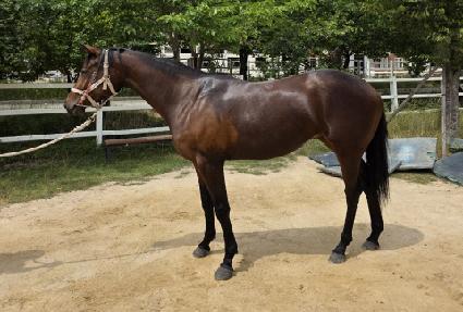 ������������ ����