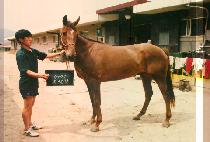 ���� (CHOON SA MEUL) ����