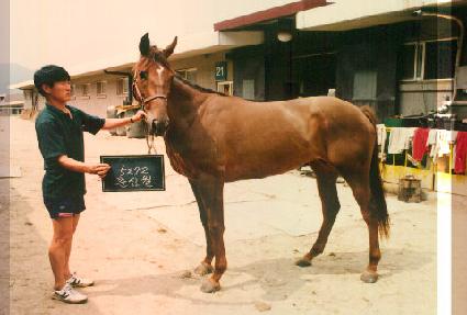 ���� ����