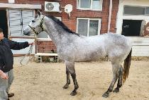 ������������ (YEOSU THE FIGHTER) ����