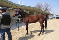 ����ü�̼� (SUPER CHASER) ����