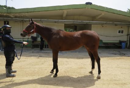 ��Ʈĳ�� ����