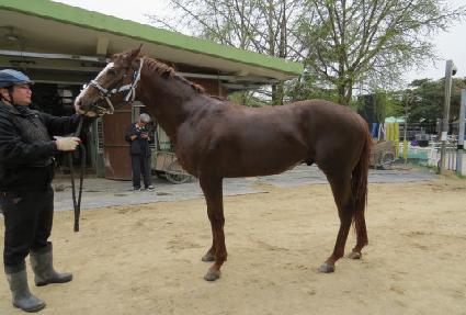 ��Ʈ�˷��� ����