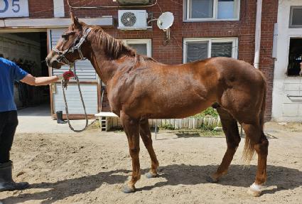 �Ŀ�Ÿ�̰� ����