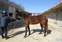 ���̵� (MADE) ����