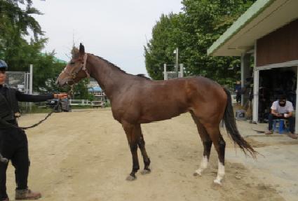 �̽�ũ����Ƽ ����