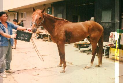 �ݺε��� ����