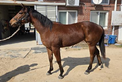 �۷ι����� ����