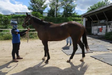 �����Ʈ���� ����