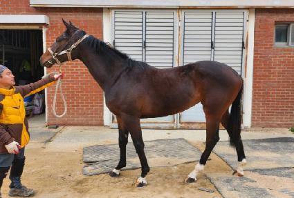 �溹�ƶ�̽� ����