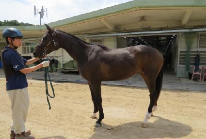 �������� ����