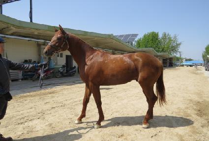 �������� ����