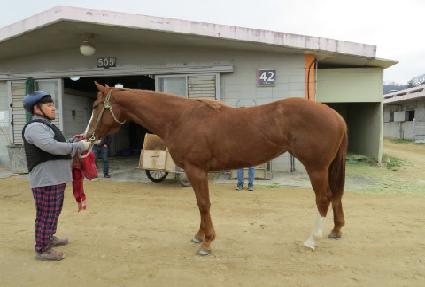 ���̷��� ����