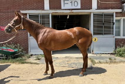 �ι��̼��� ����