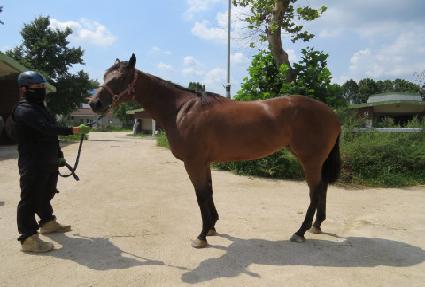 �ε�����ī�� ����