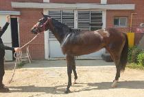 ������� (GWANGSEON DAERO) ����