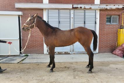 �������̽� ����