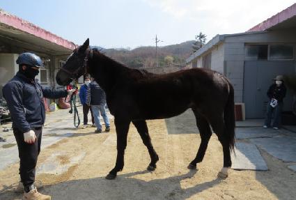 �������� ����