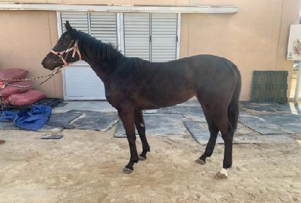 ��翥���̾� ����