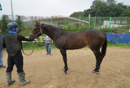 Ȧ��Ƽ�ƶ� ����