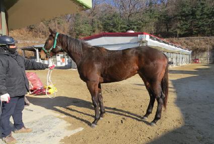 ��ƶ����� ����