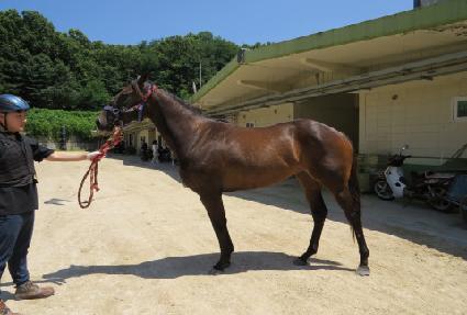 �ֽ��Ÿ��� ����