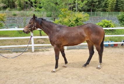 õ���̾� ����