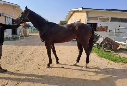 ���ѳ����� ����