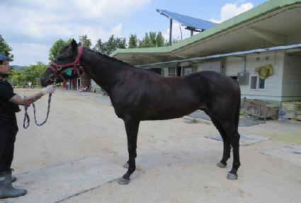 ���ʷ����� ����