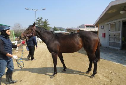 �Ϸ������� ����