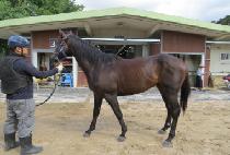 ��ũ�÷��� (WEAK PLAY) ����