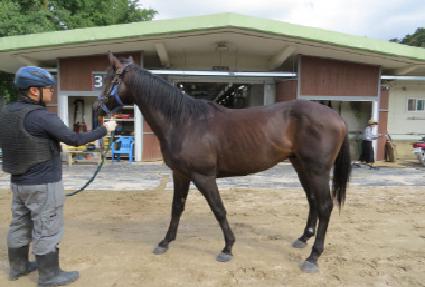 ��ũ�÷��� ����