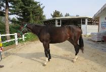 �й���� (MILBATGILEUL) ����