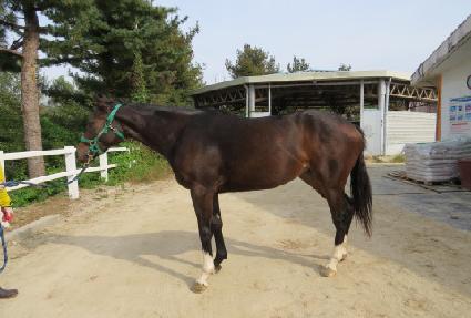 �й���� ����