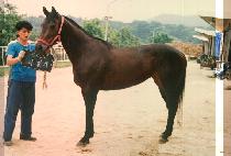 ���ָ� (DEU MEUL RI) ����