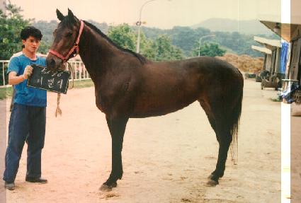 ���ָ� ����