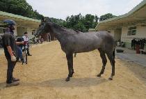 �ϳ������� (HANAM LASER) ����