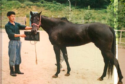 ������ ����