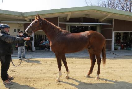 �۷θ����� ����