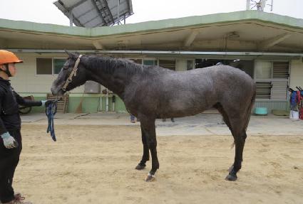 �������� ����