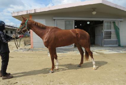 �������� ����