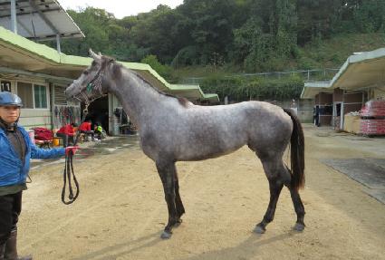 �´����� ����