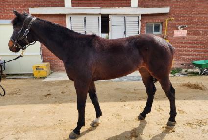 ��Ʈ���� ����